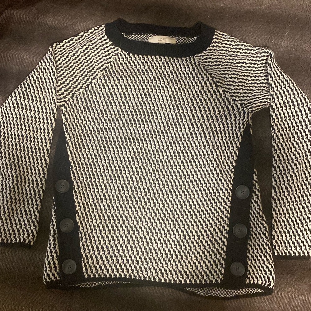 NWOT LOFT super soft and cosy sweater